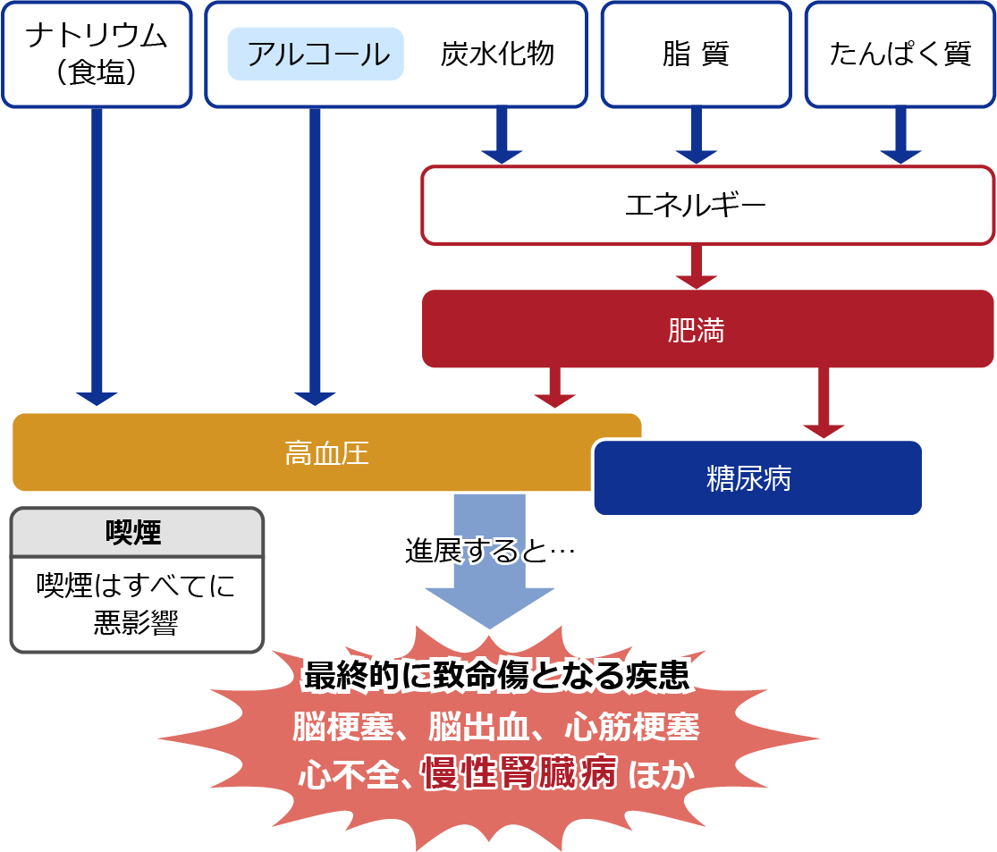 慢性腎臓病（CKD）・心血管病の発症を進める可能性のある因子