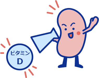ビタミンDを活性化して骨を健康に