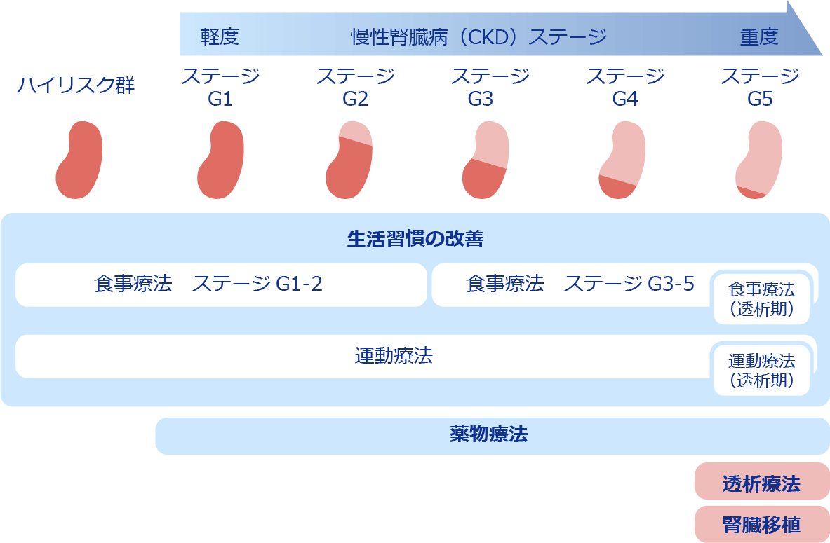 慢性腎臓病（CKD）の治療の概要