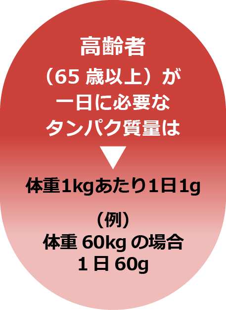 高齢者（65歳以上）が1日に必要なタンパク質の量