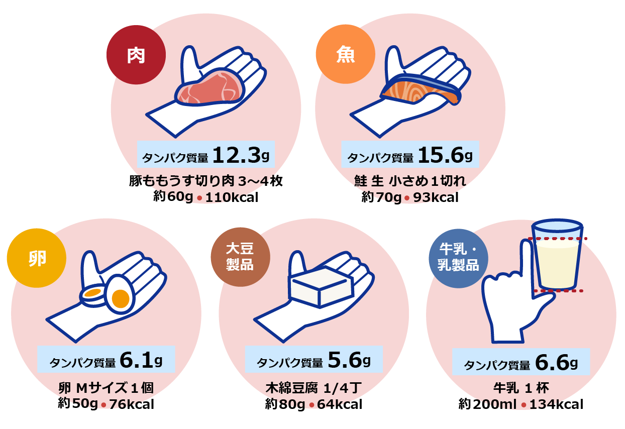 手のひらでわかるタンパク質の量