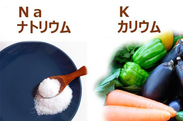 今、注目の「ナトカリバランス」